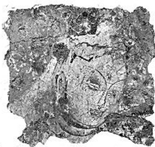 17132476142061710195 (1)