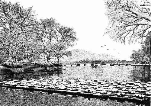 f44d305ea4db1d0a968812