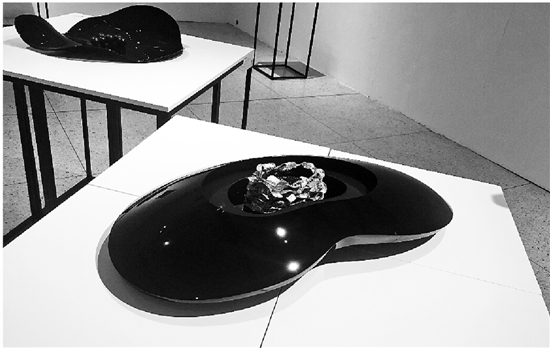 12061798256657016938